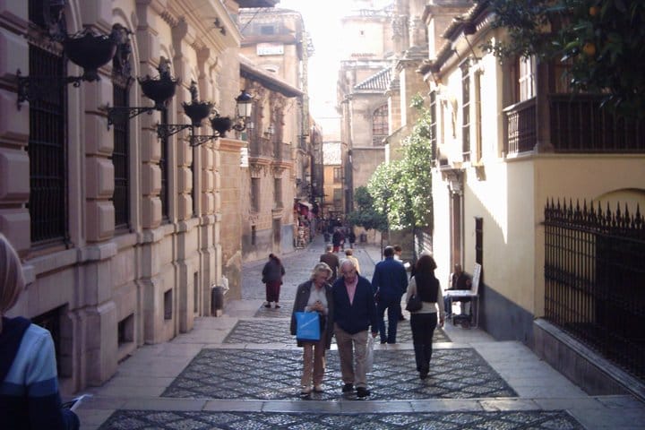 Granada Private Walking Tour with a Professional Guide 3