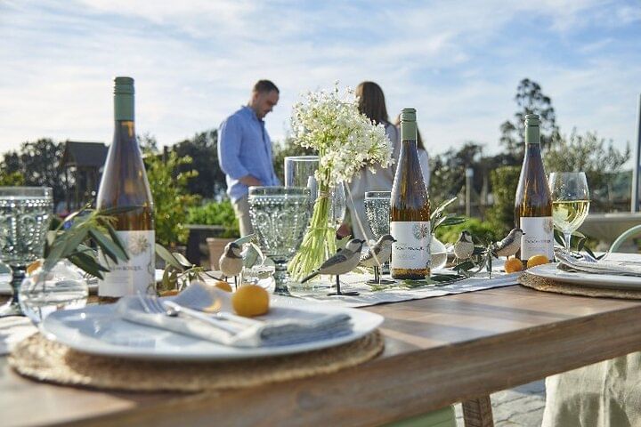 Casas del Bosque Vineyard with Lunch Menu included from Santiago