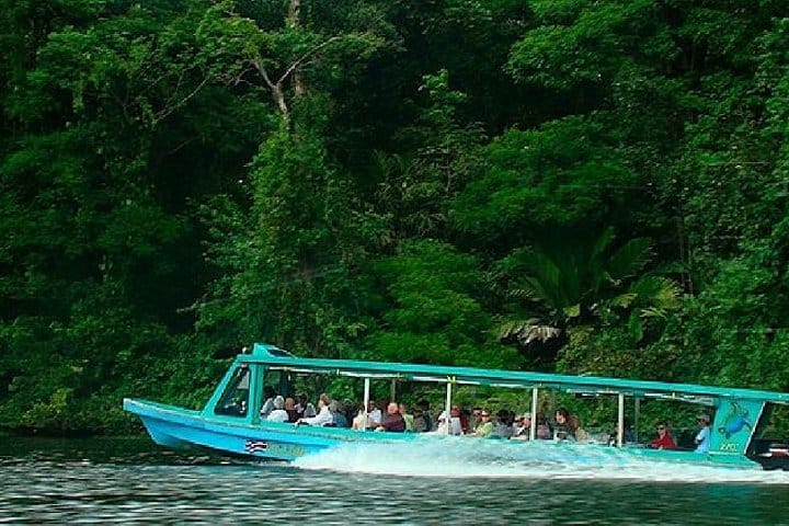 Day Trip from San Jose to La Paz Waterfall Gardens & Safari in Sarapiqui River