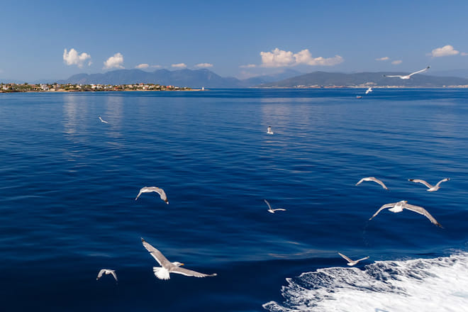Day Trip to Aegina & Agkistri from Athens photo 2