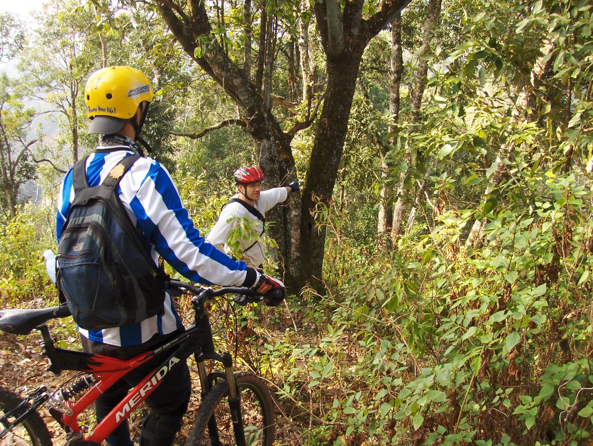 Chiang mai Suthep National Park Leisure Hiking & Mountain Biking