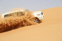 Dubai: Red Dunes Safari with Dune Buggy, Sandboard & Camel 4