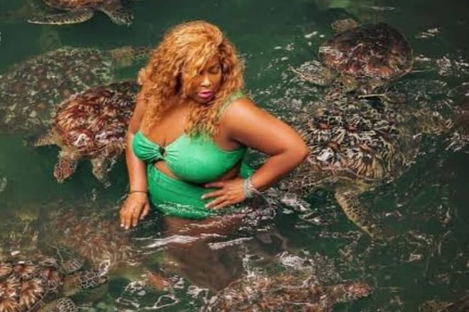 Zanzibar Swim with Dolphins and Turtles Visit at the Aquarium photo 6