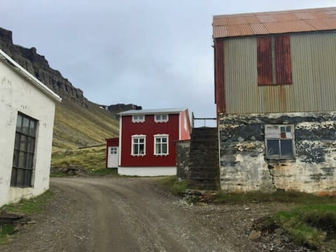 Strandir Adventure by Minibus, photo 4