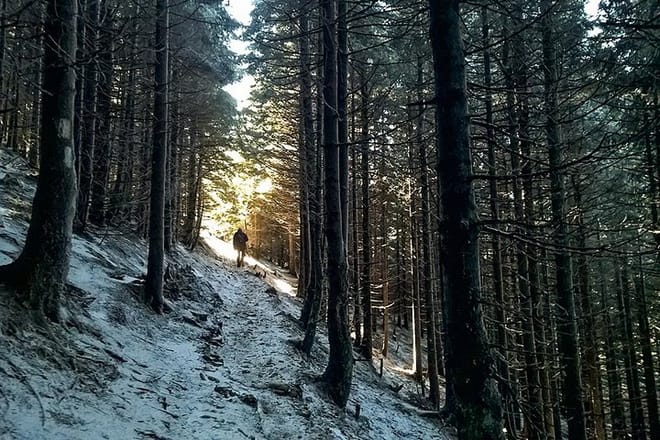 Trail to Piatra Mare