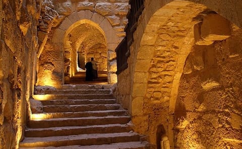 Private Day Tour of Jerash and Ajloun from Amman