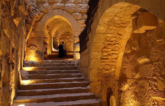 Private Tour to Jerash and Ajloun from Amman