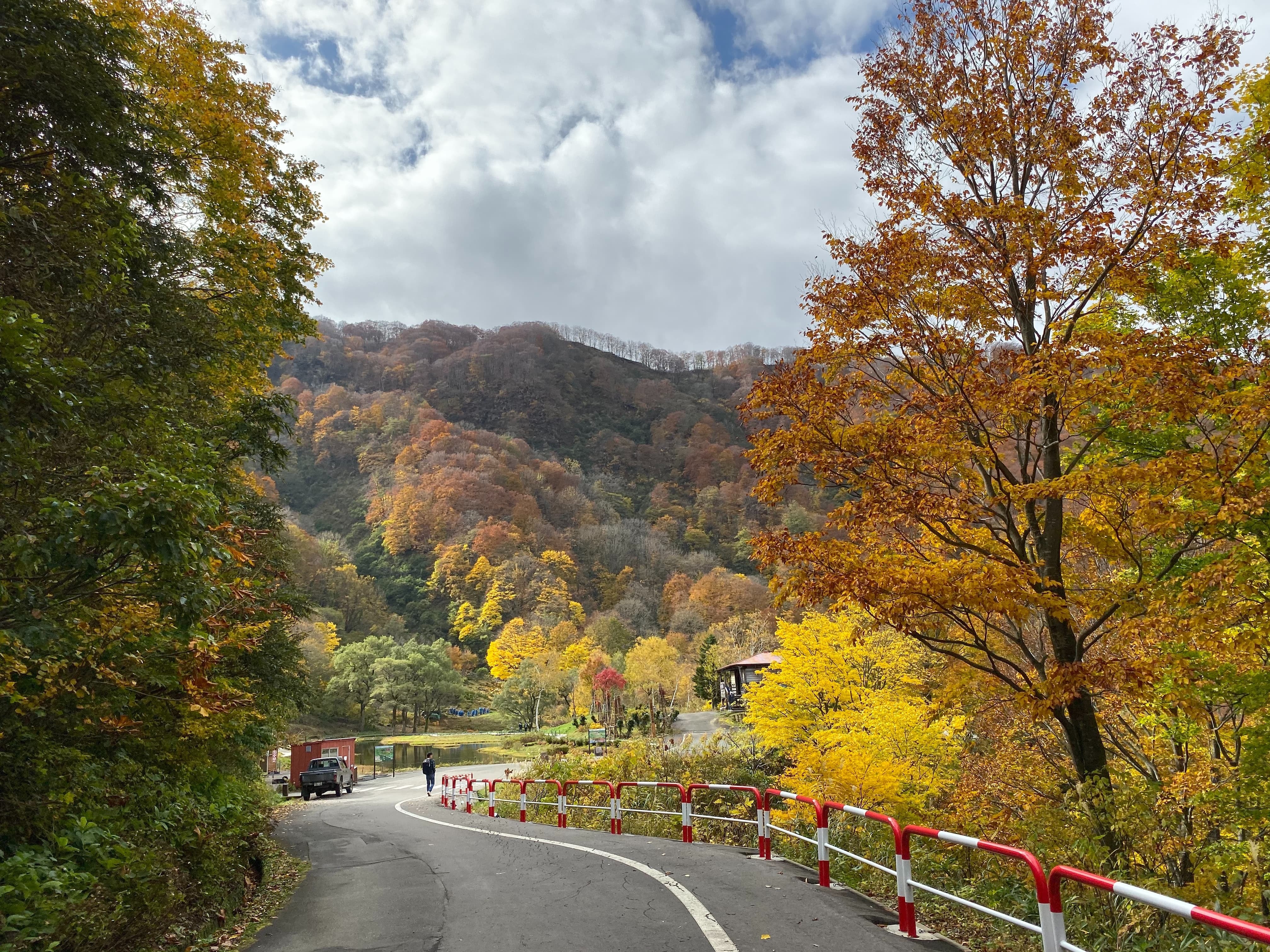 Niigata Custom Day Tour