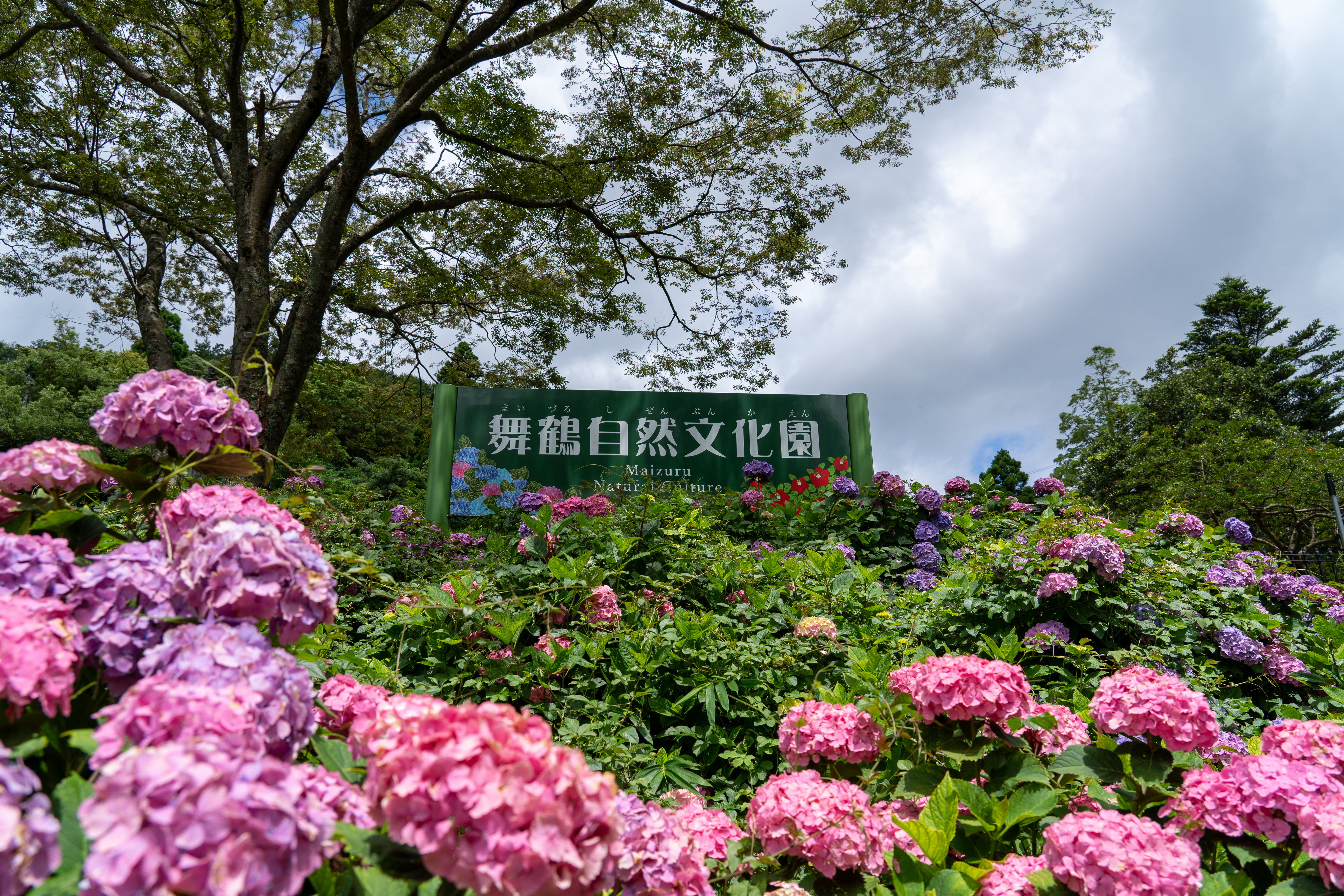 Maizuru Custom Day Tour