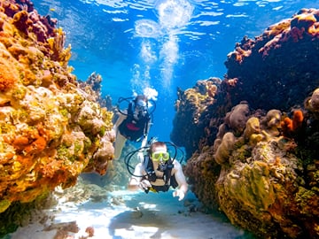 Dive into adventure! Discover the stunning underwater marine life and colorful coral reefs of Marsa Alam.