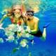 Snorkeling in Catalina Island