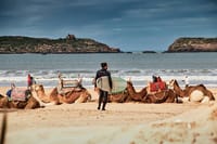 Private 12-Day Morocco Tour – Cities, Desert, Coast & Royal Touch 4