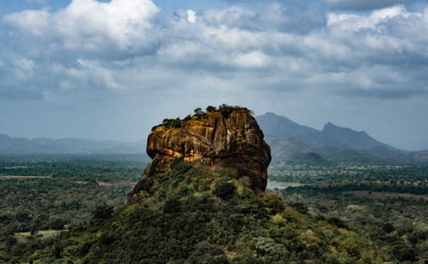 Pidurangala and Sigiriya Adventure Tour in Sri Lanka