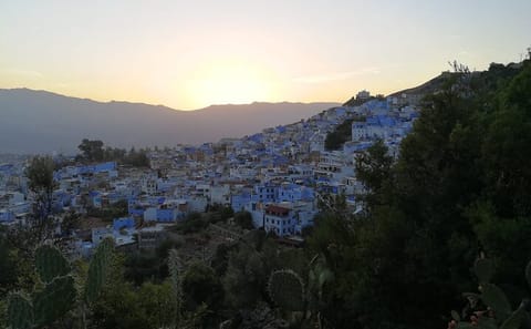 8-Day Guided Tour of Casablanca, Fes, and Marrakech