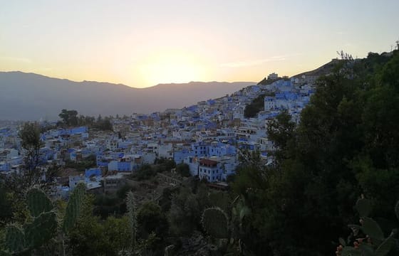 Hire a car with driver and licensed guide