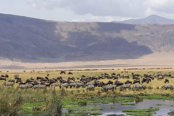 Ngorongoro crater