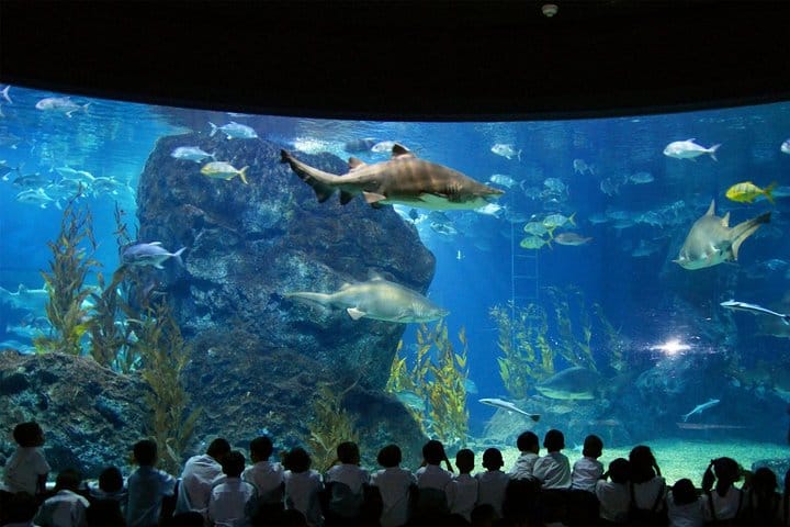 SEA LIFE & Madame Tussauds: Ultimate Bangkok Combo Ticket 3