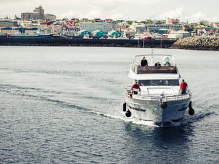 2.5-3 Hour Private Whale Watching on a yacht in Reykjavík, photo 8