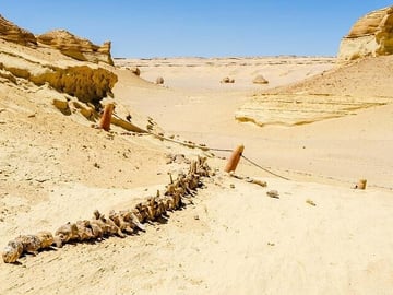 Private Day Tour To El Fayoum From Cairo