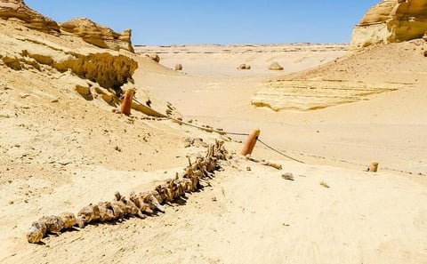 Private Day Tour To El Fayoum From Cairo