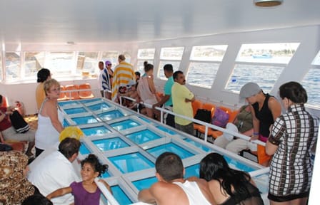 1 Hour Glass Boat with Private Transfer from Sharm El Sheikh