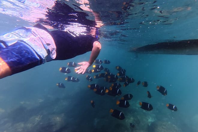 Visit the National Park ''The Arches of Mismaloya'' Private Tour 8