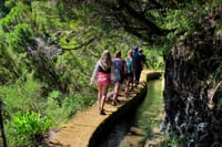 Full-Day Small Group Jeep Safari Tour from Funchal 8