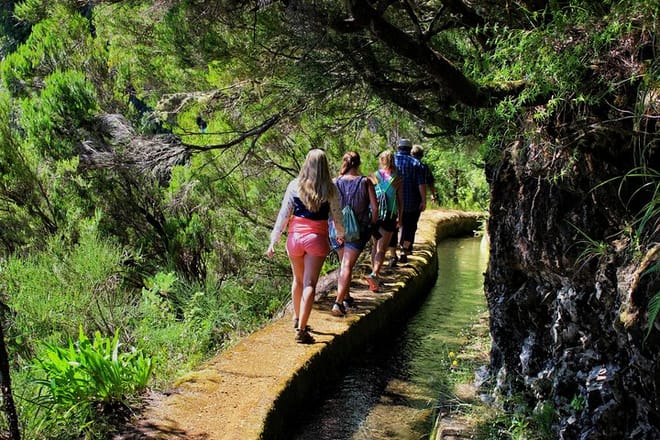 Full-Day Small Group Jeep Safari Tour from Funchal 8