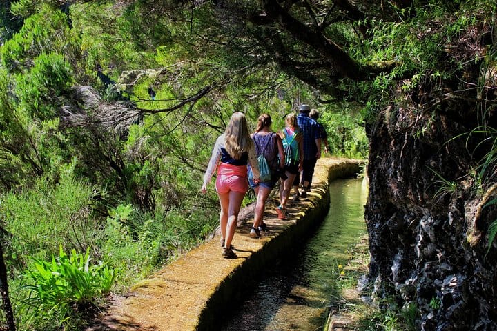 Full-Day Small Group Jeep Safari Tour from Funchal 8