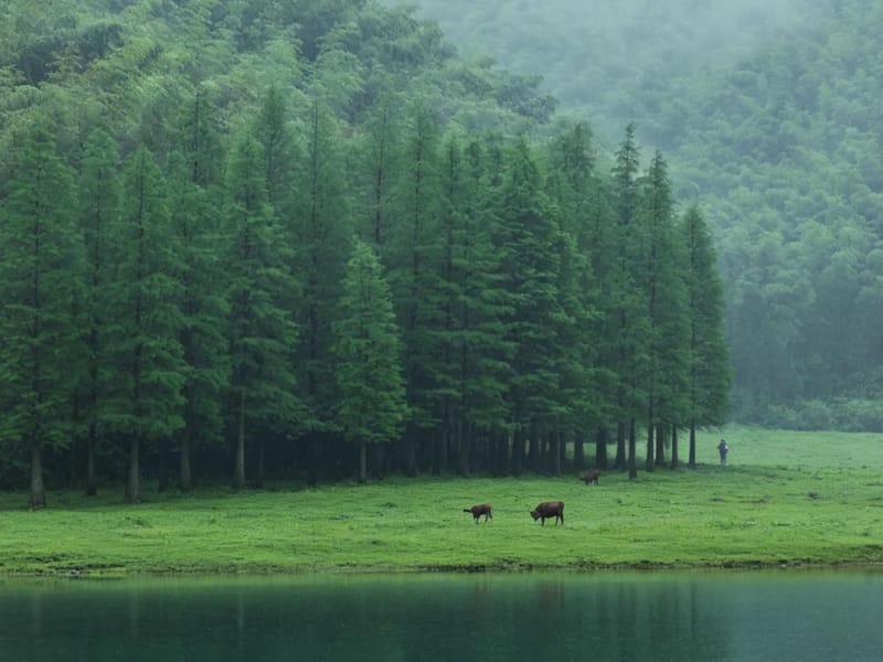 Wuxi: Hanxi Stream & Hongling Ancient Trail Cool Escape