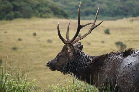 Essential Sri Lanka: A 9-Day Blend of Culture & Nature