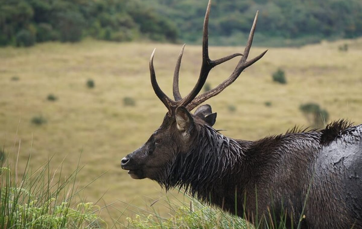 Essential Sri Lanka: A 9-Day Blend of Culture & Nature