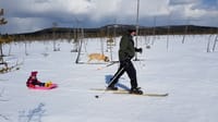 Deep Snow - Wilderness Skiing Experience in Pyhä-Luosto	 2