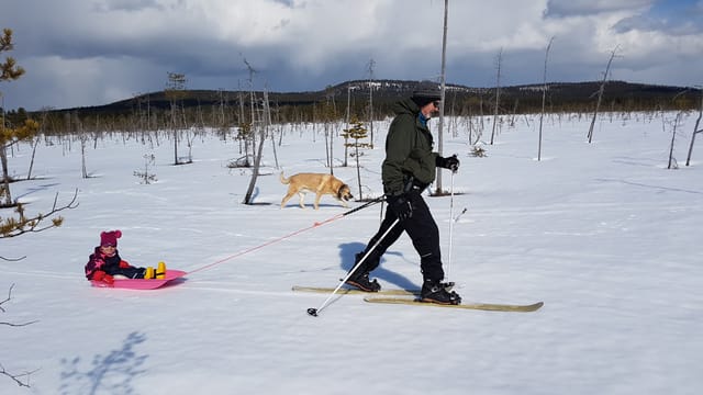 Wilderness Skiing in Powder Snow