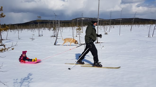 Deep Snow - Wilderness Skiing Experience in Pyhä-Luosto	 photo 2
