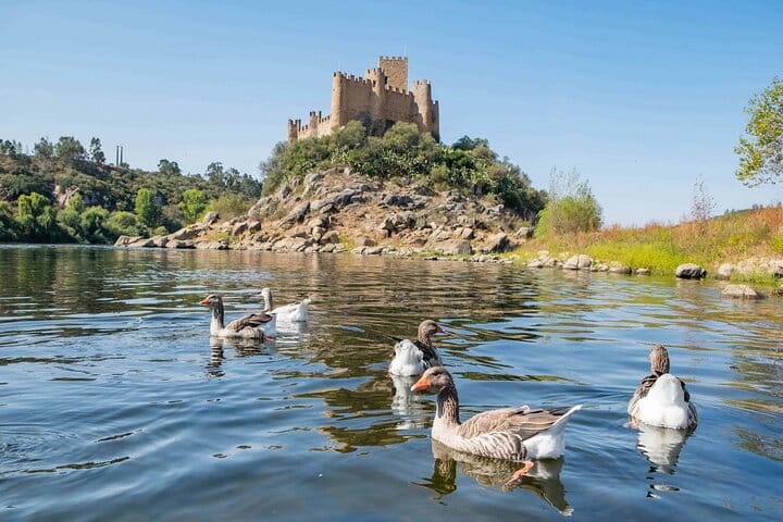 Private Templars Tour of the 3 Castles from Lisbon 5