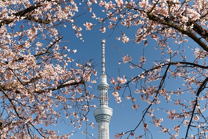 Tokyo SkyTree Observation Deck