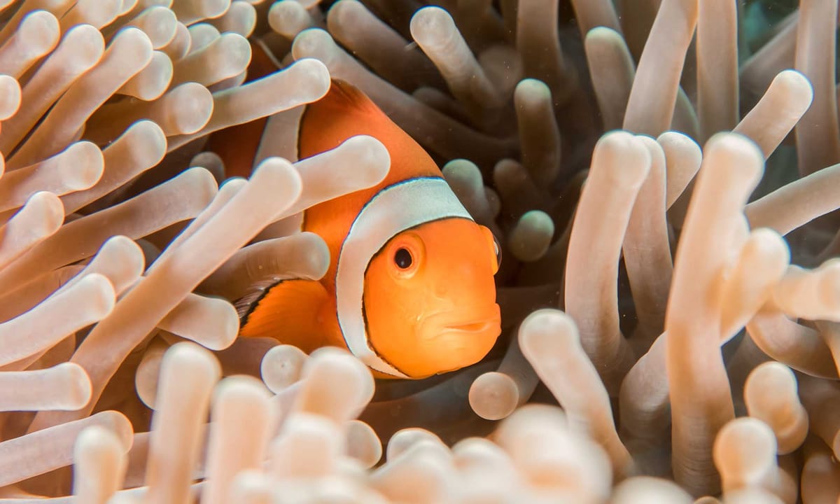 Private Tour :  3 Days Tour Package with snorkeling