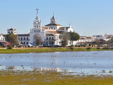 Doñana National Park Private Roundtrip