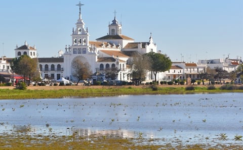 Doñana National Park Private Roundtrip