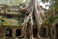 Ta Prohm Temple