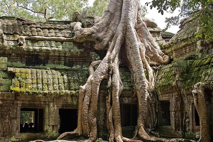 Ta Prohm Temple