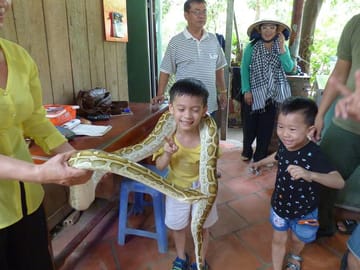 Full-Day Mekong Delta Tour from Ho Chi Minh City