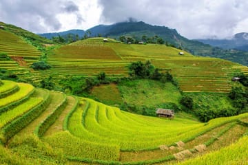 Adventure to Mu Cang Chai Rice Fields 3 days 2 nights