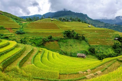 Adventure to Mu Cang Chai Rice Fields 3 days 2 nights