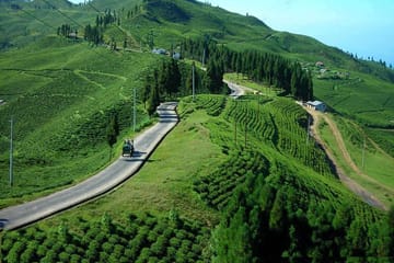 7 days Short Hike & Getaway to Ilam Tea Garden