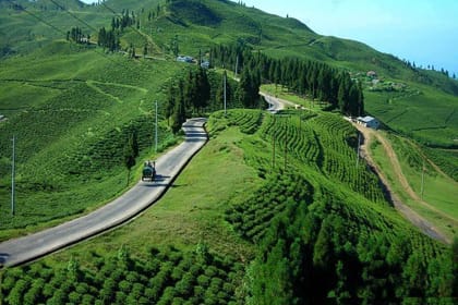 7 days Short Hike & Getaway to Ilam Tea Garden