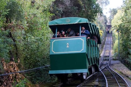 Private half day city tour