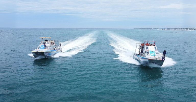Custom-designed boats offer the safest and most stable cage diving experience.