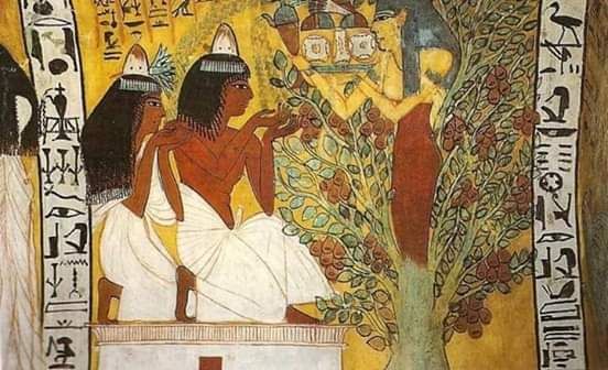 Day tour to luxor from Aswan